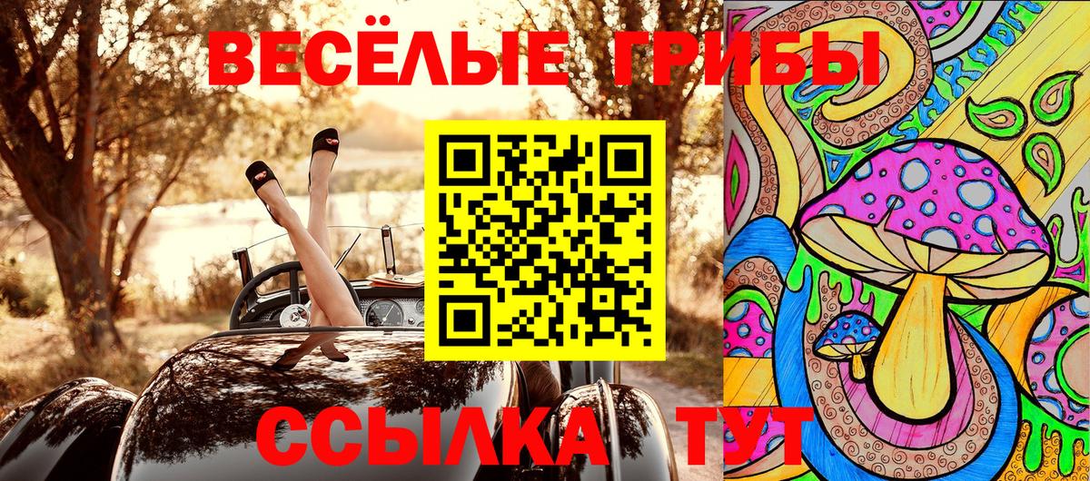 Галлюциногенные грибы ЛСД Майский