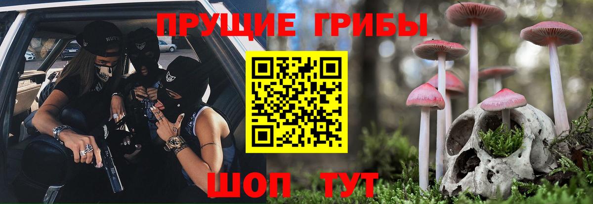 купить   Вход с VPN  Майский  Галлюциногенные грибы мицелий 